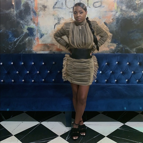 Mesh Ruffle Dress With Belt - Picture 2 of 2